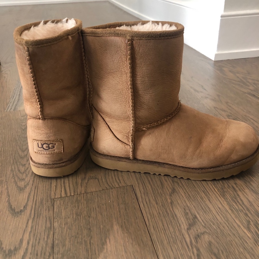 UGG CLASSIC II WEATHER SHORT BOOT-Chestnut